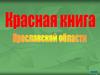 Красная  книга Ярославской области