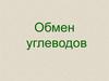 Обмен углеводов. Биологическая роль углеводов