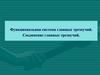 Функциональная система главных трезвучий. Соединение главных трезвучий