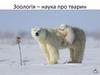 Зоологія – наука про тварин