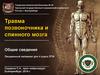 Травма позвоночника и спинного мозга