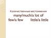 Количественные местоимения many/much/a lot of few/a few little/a little