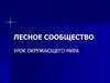 Лесное сообщество. Животный и растительный мир