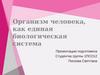 Организм человека как единая биологическая система