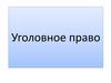 Уголовное право. Раздел второй