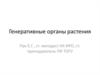 Генеративные органы растения