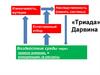 «Триада» Дарвина