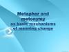 Metaphor and metonymy as basic mechanisms of meaning change