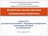 Филогенез систем органов