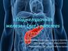 Поджелудочная железа