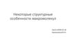 Некоторые структурные особенности макромолекул