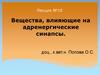 Вещества, влияющие на адренергические синапсы