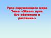 Жизнь луга. Его обитатели и растения
