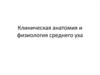Клиническая анатомия и физиология среднего уха