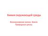 Химия окружающей среды Возникновение жизни. Земля. Природные циклы