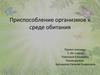 Приспособление организмов к среде обитания