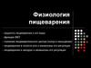 Физиология пищеварения