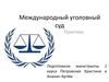Международный уголовный суд