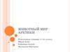 Животный мир Арктики