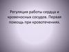 Регуляция работы сердца и кровеносных сосудов. Первая помощь при кровотечениях.-1