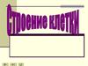 Основная структурно-функциональная единица всех живых организмов