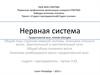 Нервная система