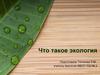 Что такое экология