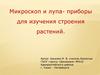 Микроскоп и лупа - приборы для изучения строения растений