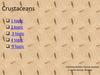 Crustaceans (lat. Crustacea) - one of the classes of arthropods