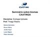 Seminário sobre biomas Caatinga
