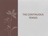 The continuous tenses