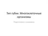 Тип губки. Многоклеточные организмы