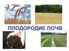 Плодородие почв и агрохимия