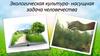 Экологическая культура - насущная задача человечества