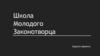 Школа молодого законотворца