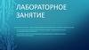 Лабораторное занятие