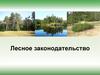 Лесное законодательство