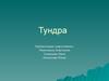 Тундра. Географическое положение