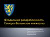Феодальная раздробленность. Галицко-Волынское княжество