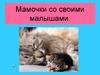 Мамы с малышами. Фотографии животных