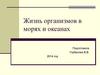 Жизнь организмов в морях и океанах