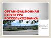 Организационная структура Россельхозбанка