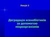 Деградація ксенобіотиків за допомогою мікроорганізмів