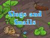 All About Slugs and Snails