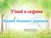 Интерактивный плакат. Узнай и сохрани. Какие бывают деревья