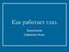 Как работает глаз