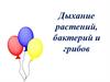 Дыхание растений, бактерий и грибов