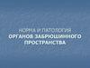 Норма и патология органов забрюшинного пространства