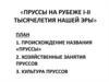 Пруссы на рубеже I-II тысячелетия нашей эры