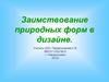 Заимствование природных форм в дизайне